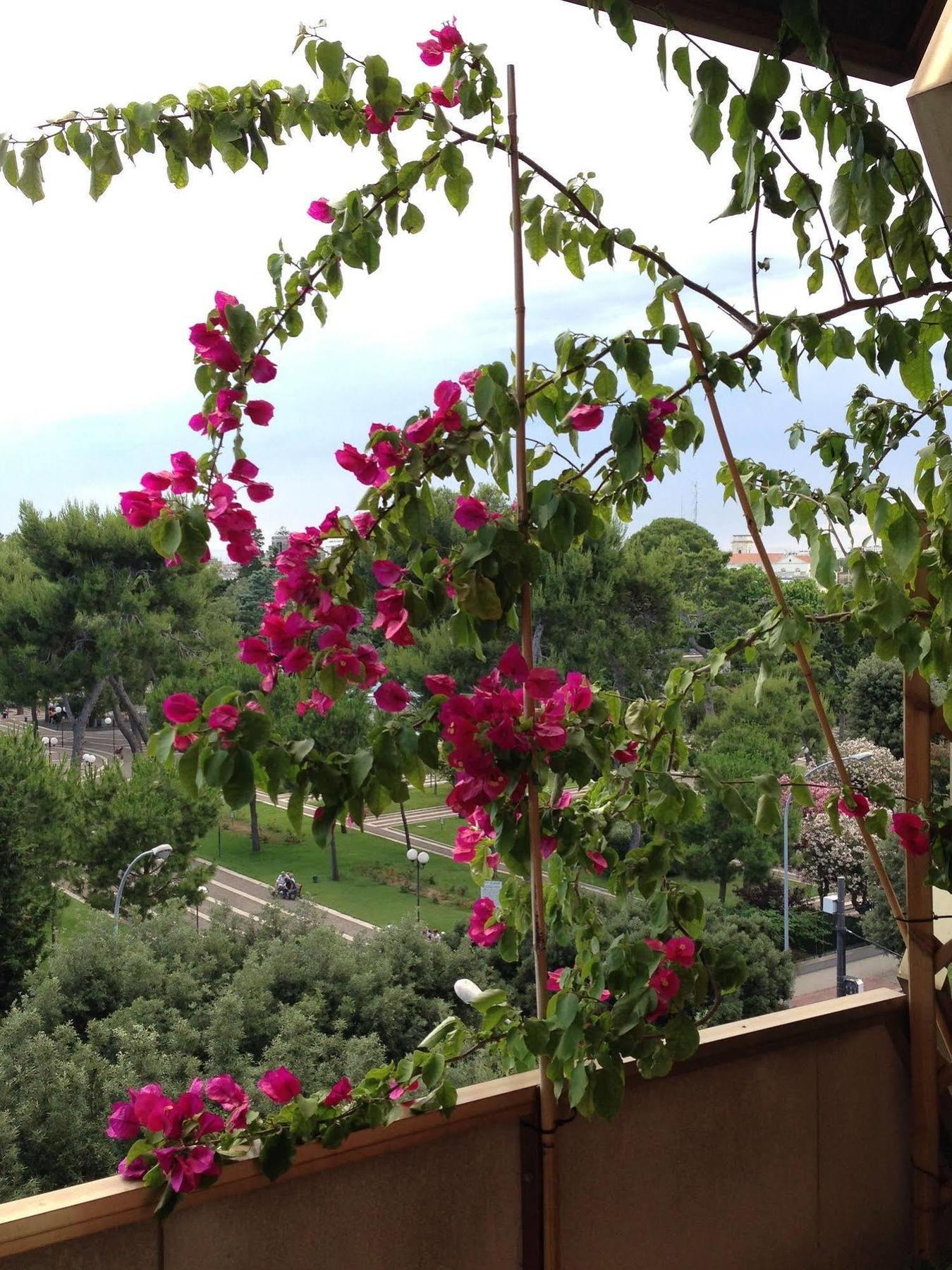 Bed and Breakfast Larala' Lecce Esterno foto
